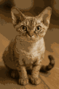 Devon Rex Cat Pixel Art - AI Generated Retro Style Digital Art of Devon Rex Kitten with Blue Eyes