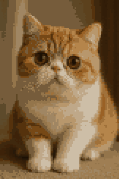 Exotic Shorthair Cat Pixel Art - AI Generated Retro 8-bit Style Cat Portrait Digital Artwork