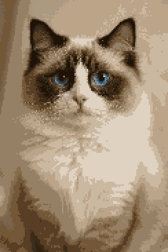 Ragdoll Cat Pixel Art - AI Generated Blue Eyes Cat Digital Portrait 8-bit Retro Style Art